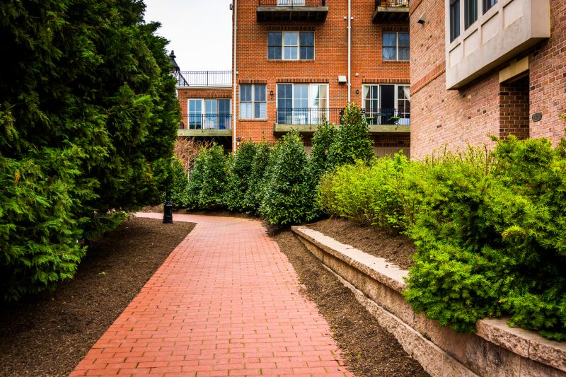 Residence Pathway Restoration