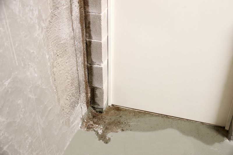 Foundation Moisture Control in Sarasota, FL