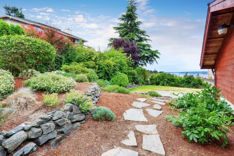 Residence Pathway Restoration