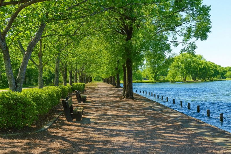 Residence Pathway Restoration