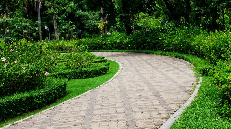 Restored Paver Pathway